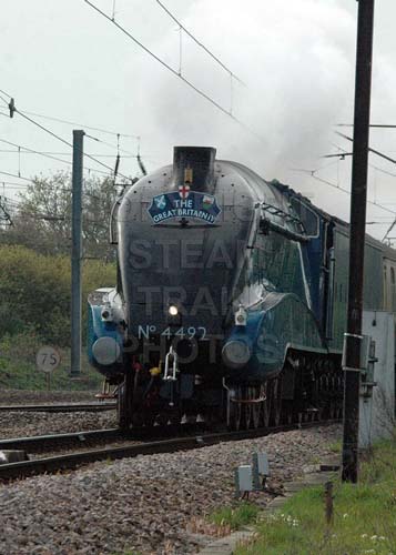 See large image